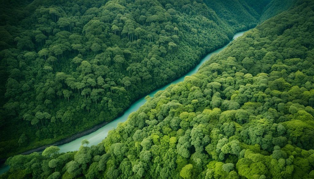 Eco-lodges in Ecuador