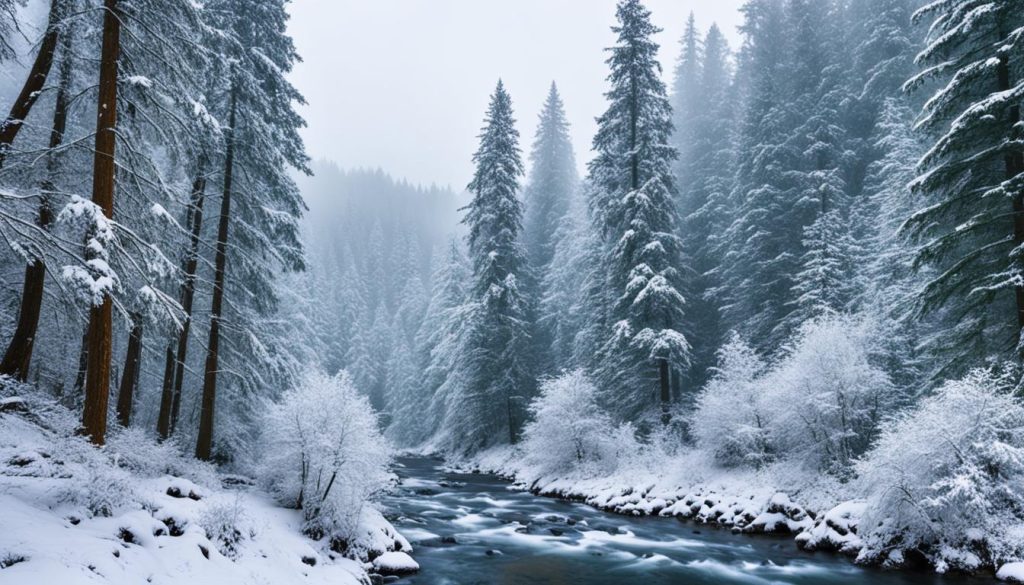 Willamette National Forest