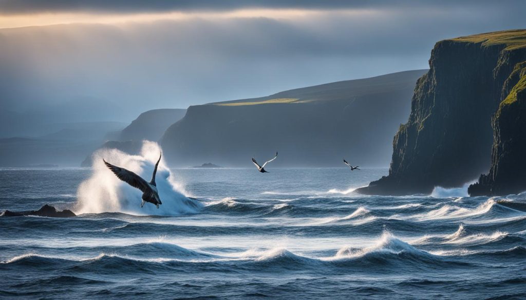 wildlife in Scotland